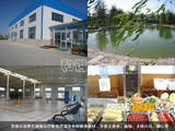 Ц��̫�O�B���@�����d���п��{�����N�������ġ�����̫�Oȭ���٤��̫�O�ȹ����o�ĵ�